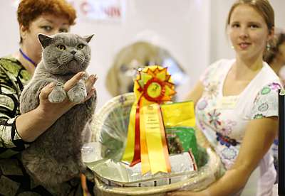 �������� ����� '���-�����-��������' 20-21 �������� 2014 16-101-169A1680 copy.jpg